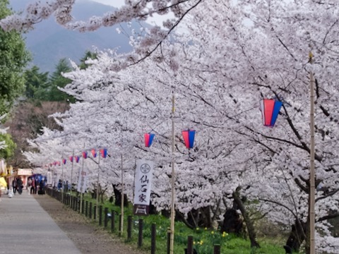 上田城跡