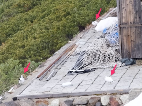 立山