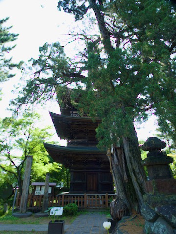 信濃国分寺
