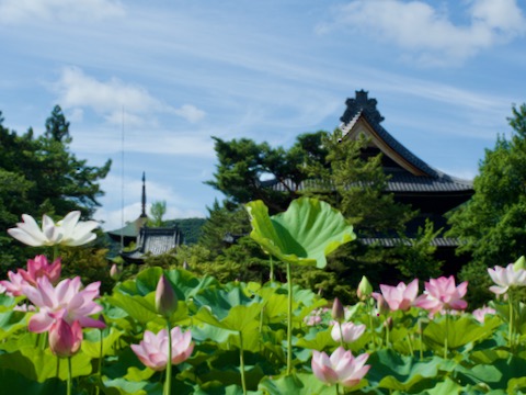 信濃国分寺