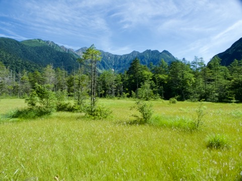 田代湿原