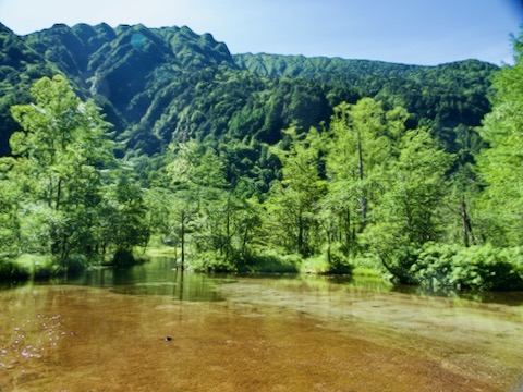 田代湿原