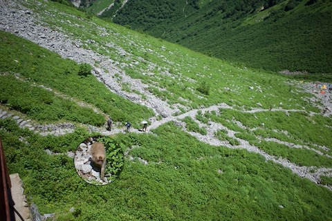 涸沢