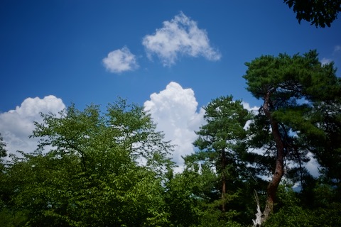 砥石城