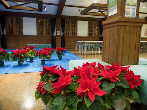 アルプスあづみの公園