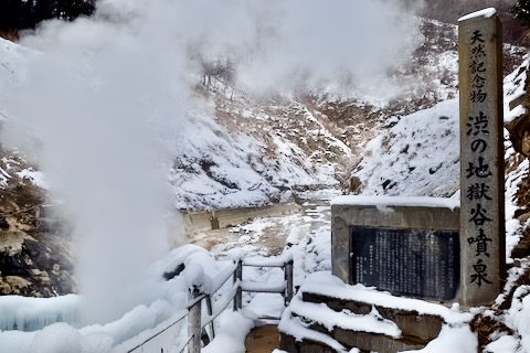 渋の地獄谷噴泉