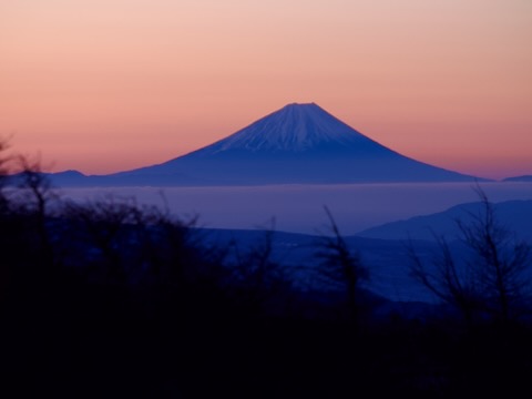 富士山