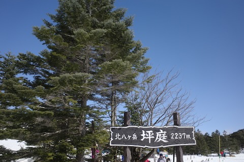 北八ヶ岳