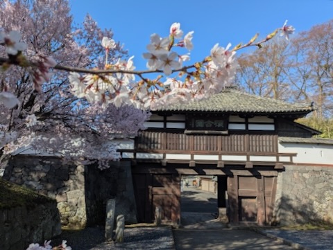 懐古園