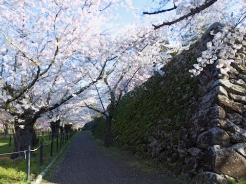 懐古園