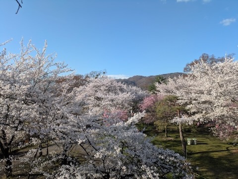 懐古園