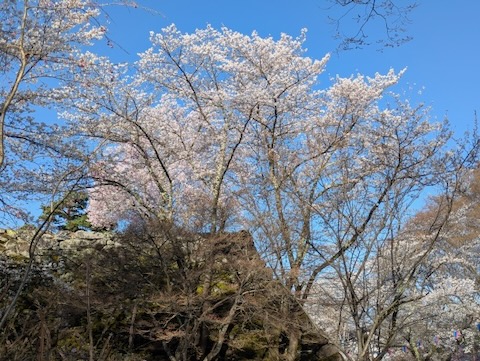 懐古園