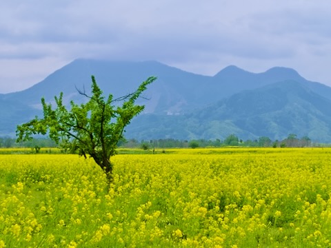 千曲川河川敷
