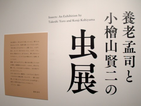 虫展