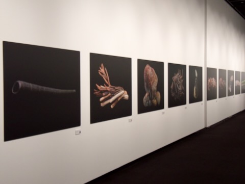 虫展