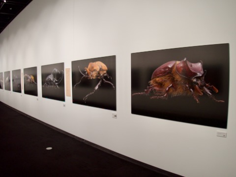 虫展