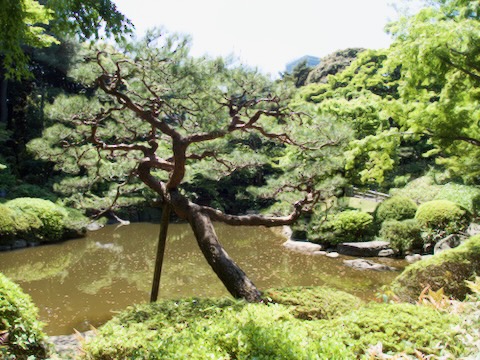 東京庭園美術館