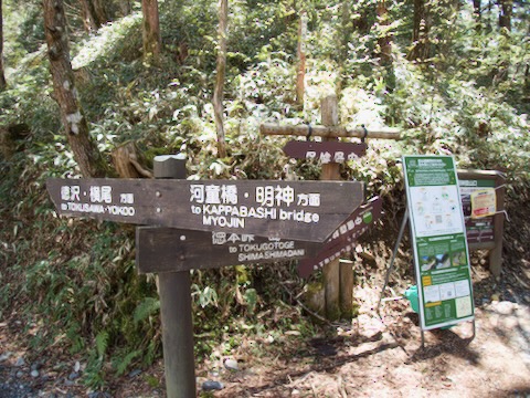 徳本口