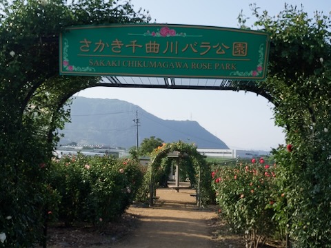 さかき千曲川バラ公園