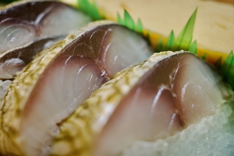 鯖寿司