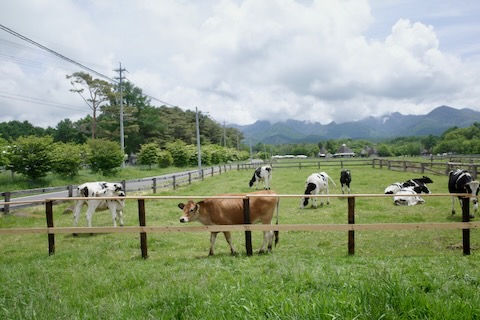 八ヶ岳