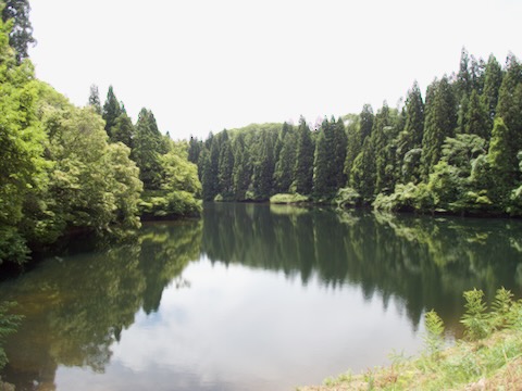 ソブの池