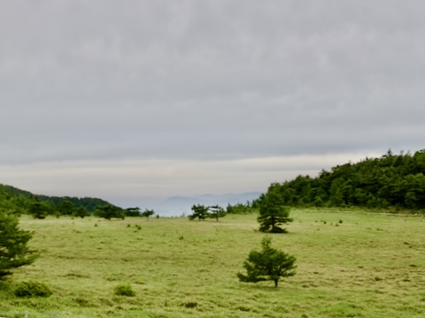 池の平湿原