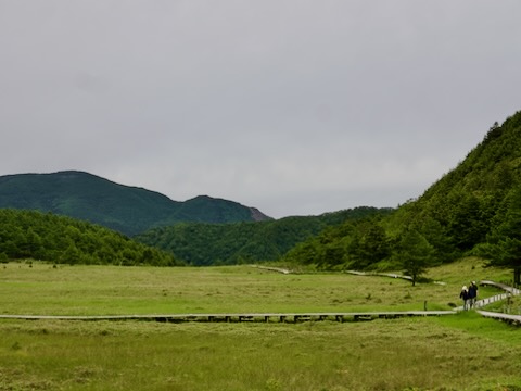 池の平湿原