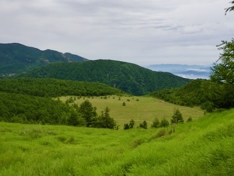 池の平湿原
