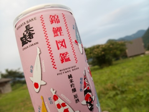 錦鯉図鑑