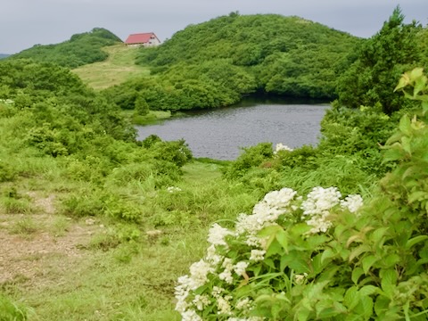 ドンデン山