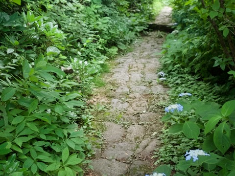 佐渡