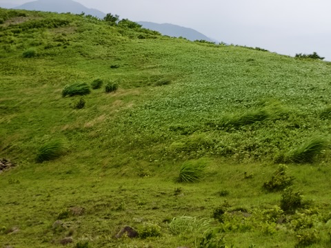 佐渡