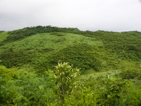 佐渡
