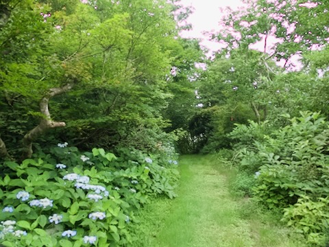 佐渡