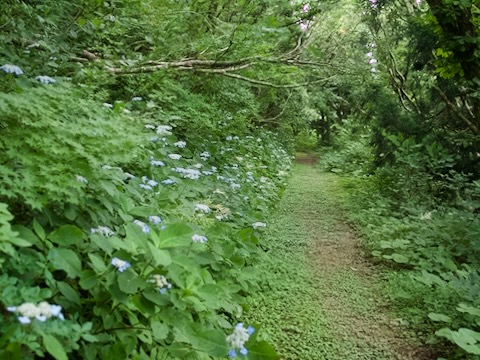 佐渡