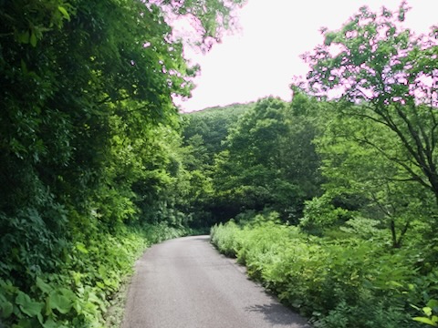 佐渡