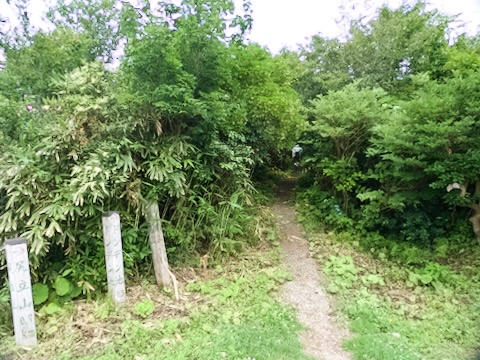佐渡