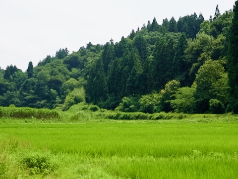 佐渡