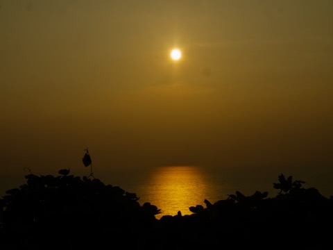 佐渡