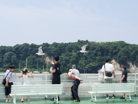 こがね丸甲板