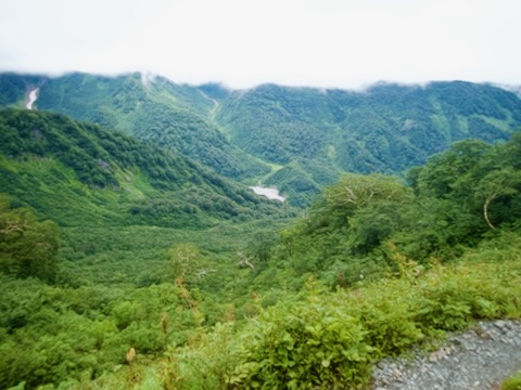白馬