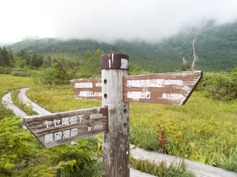 栂池自然園