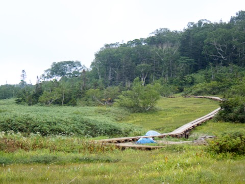 栂池自然園