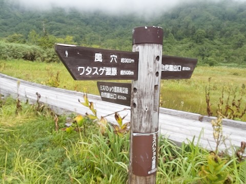栂池自然園