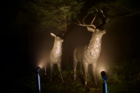 アサマスタークロスウォーク