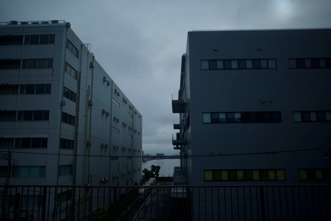 海の見える風景